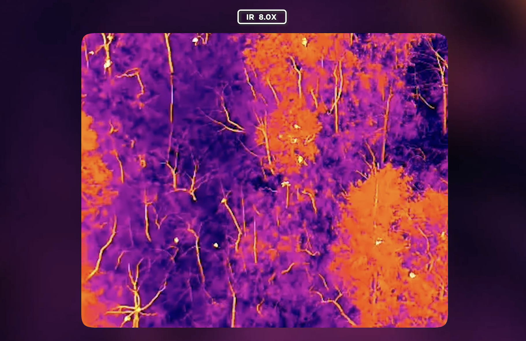 DJI H30T FLIR Drone Sensor